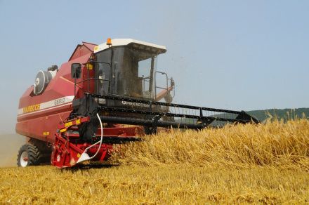 ЗЕРНОУБОРОЧНЫЙ КОМБАЙН GS812 / GS812 PROFI ГОМСЕЛЬМАШ